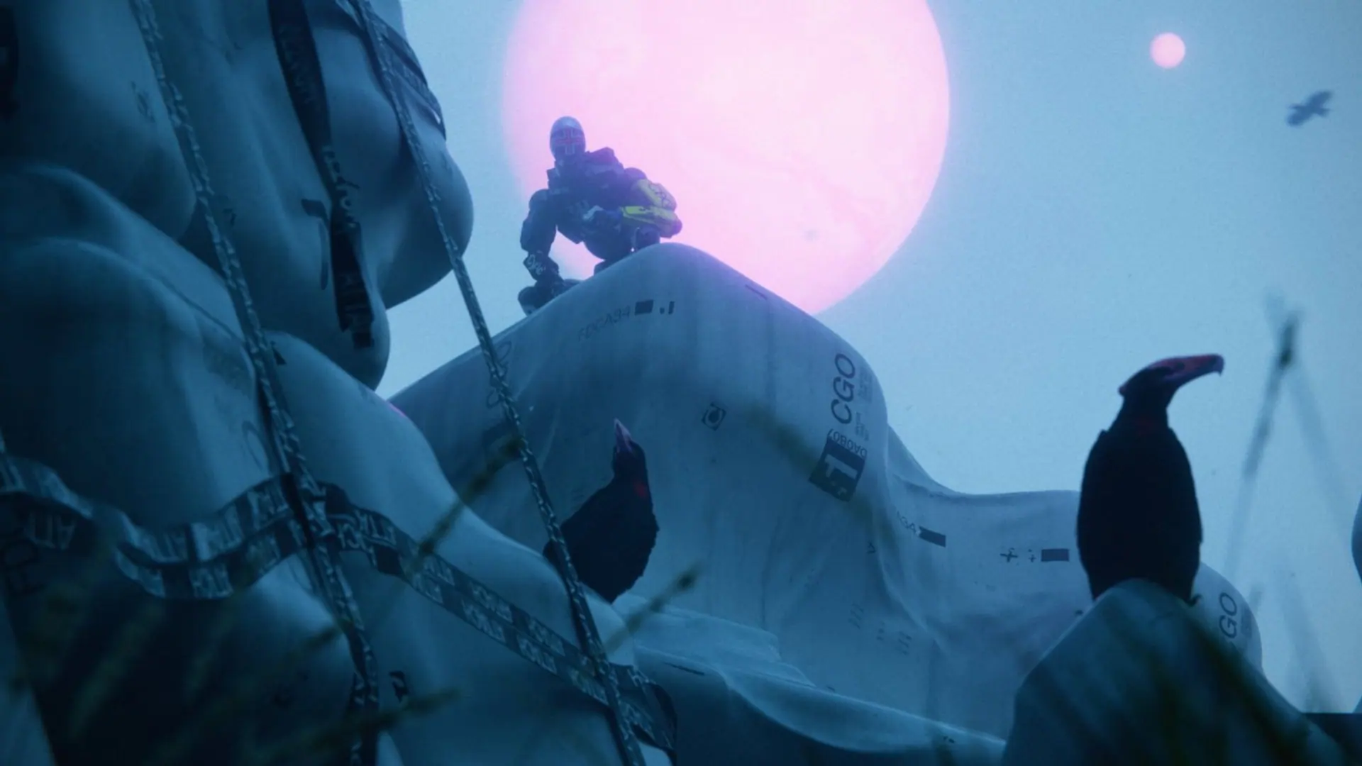 Diretora de Marathon encerra rumores de fusão com a Destiny