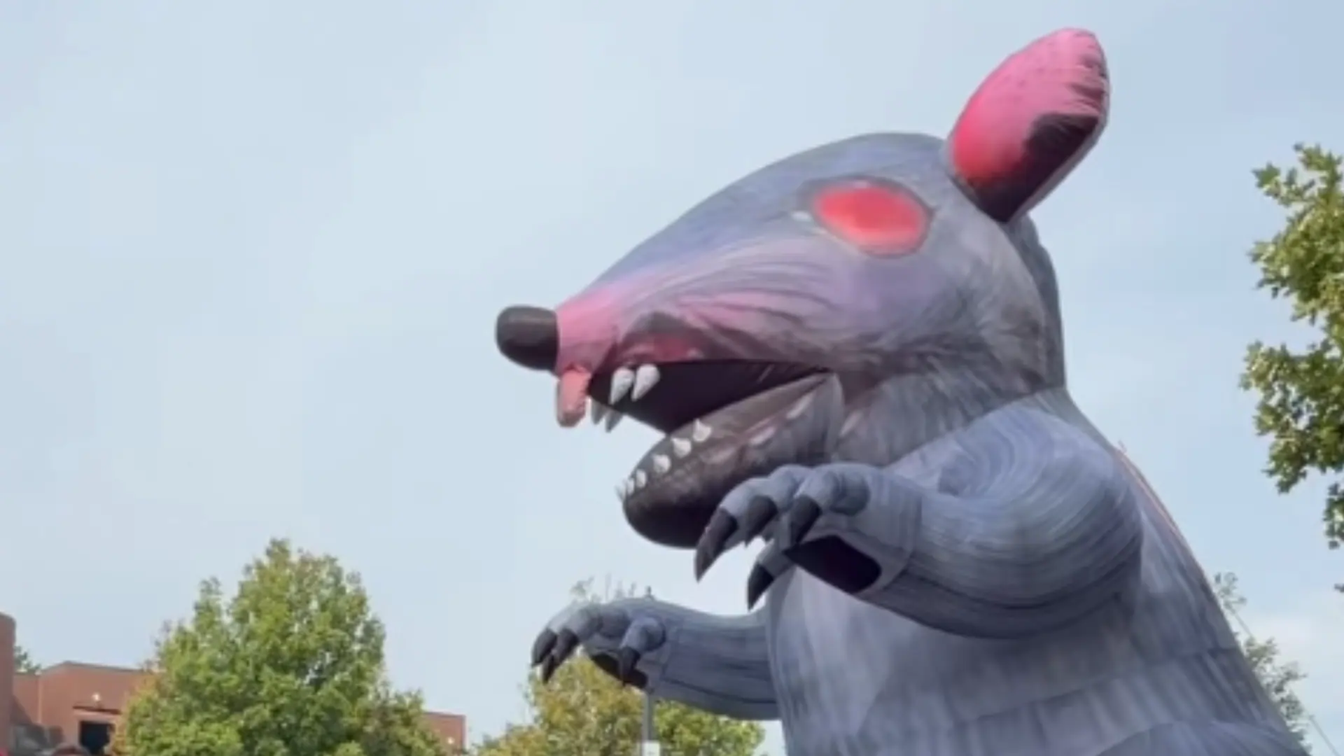 Rato gigante e bandeiras marcam protesto em visita da Xbox para testar The Elder Scrolls 6